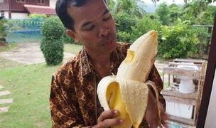 国产成人大香蕉,探索国产成人影视的崛起与魅力